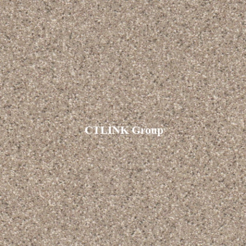 Sàn nâng kỹ thuật khuôn thép lõi xi măng mặt phủ HPL chống tĩnh điện Anti Static